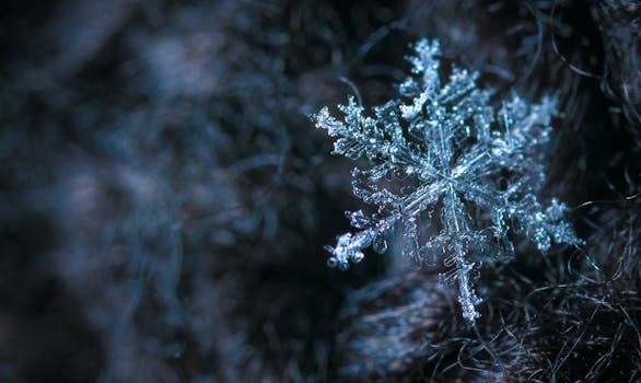 Intricate close-up of a snowflake showcasing its frosty crystalline structure in a winter setting.
